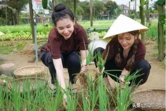 整体而言，泰国妹子漂亮还是越南妹子漂亮？