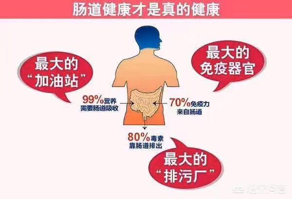 靠节食减肥靠谱吗？哪种减肥效果好还不反弹？