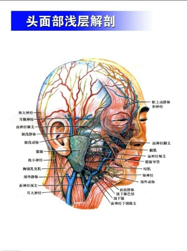 可以把玻尿酸买回家自己注射吗？