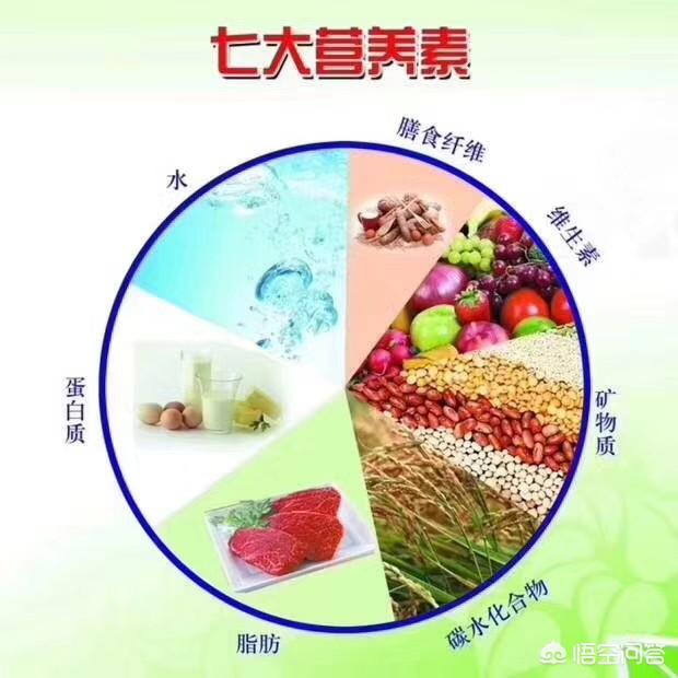 靠节食减肥靠谱吗？哪种减肥效果好还不反弹？