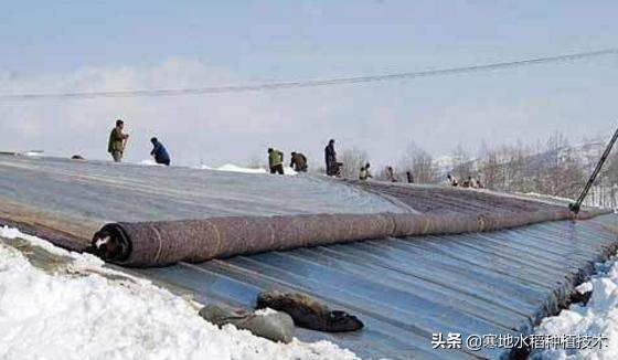 怎样清理农村冷棚积雪，一层膜的？