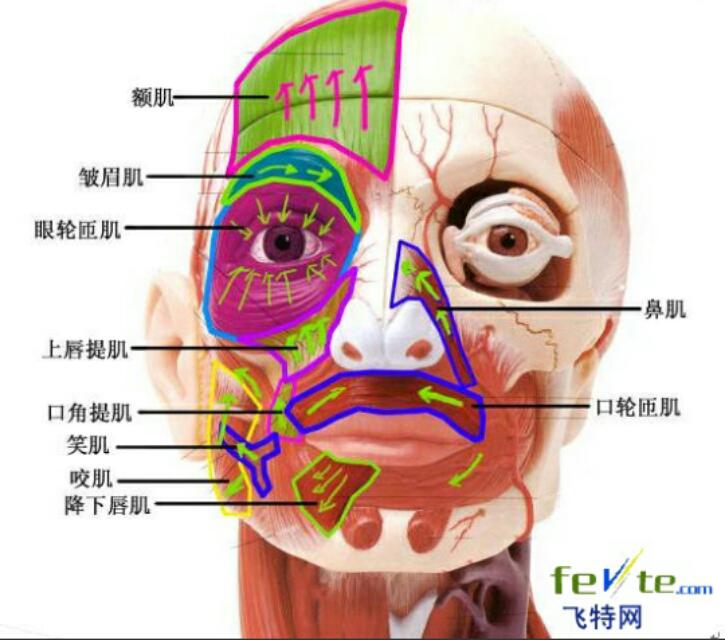 可以把玻尿酸买回家自己注射吗？