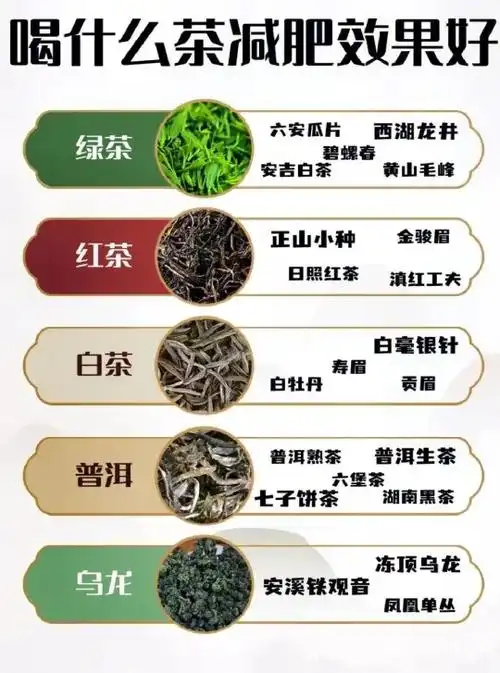 普洱茶减肥的原理是什么(普洱茶可以帮助减肥吗)