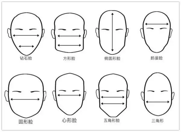 脸型分类有哪些(脸型与健康有什么关系)