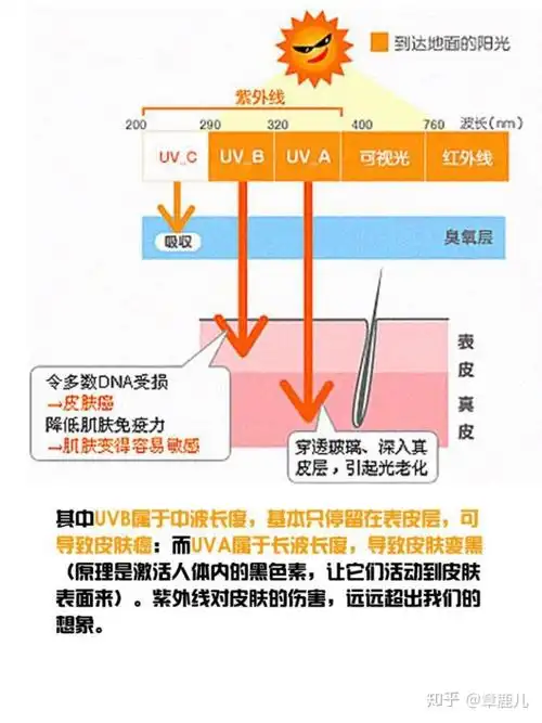 如何选择防晒效果好的防晒衣?如何解读防晒指数